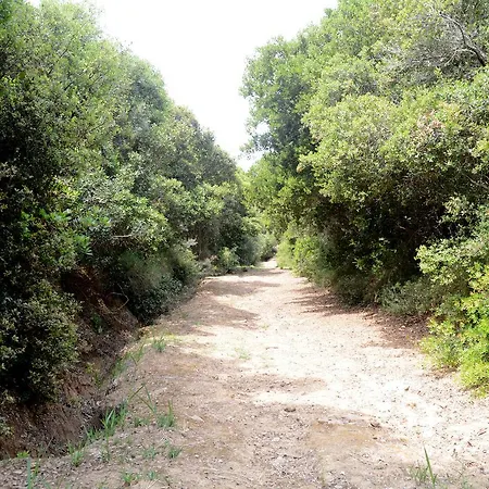 西斯克斯旅馆 3* 卢特拉基利尼斯