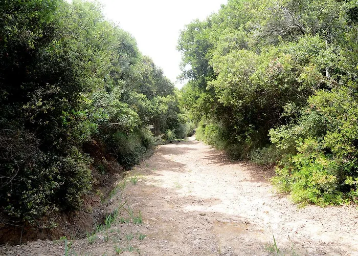 Siskos 3* לוטרה קיליניס