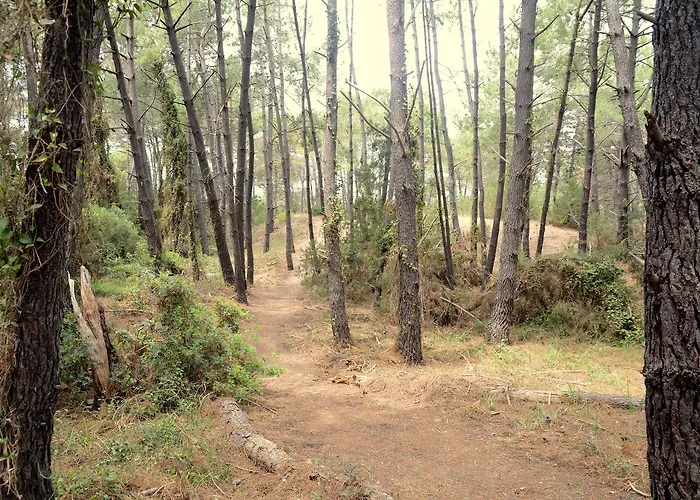 Siskos בית הארחה